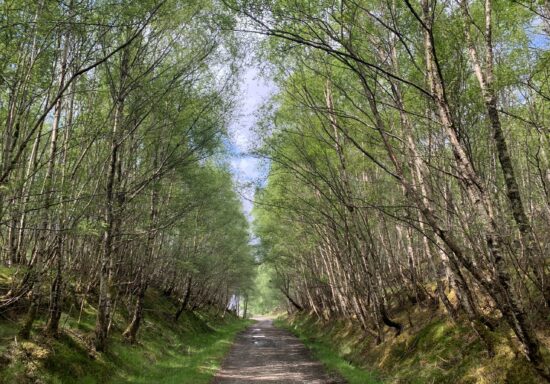 Scottish Hiking