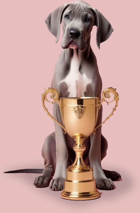 pinkdogdigital dog trophy
